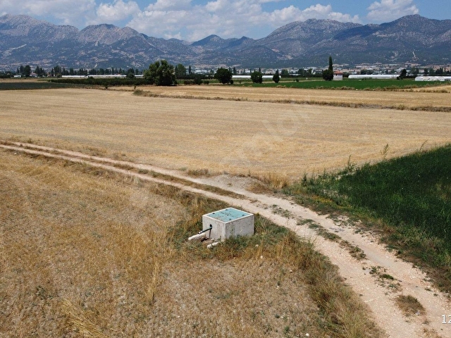 VİP GAYRİMENKULden ZÜMRÜTOVA MAH. 18.500m² TARLA - Görsel 19