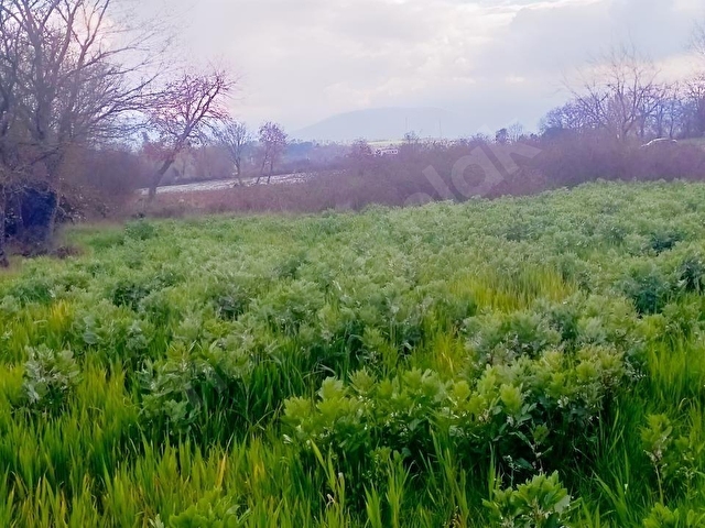 Yenice Karabeyde Huzur Arayanlara Özel Müstakil Parsel Bahçe - Görsel 4