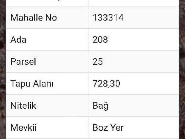 Satılık bahçe - Görsel 4