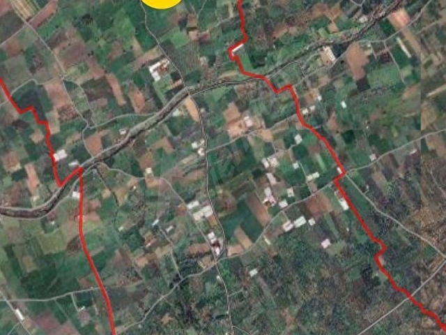 GÜRE IŞIK EMLAKTAN BURHANİYE KIZIKLI DA 9.600M2 VERİMLİ CEVİZ TARLASI - Görsel 5