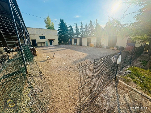 ANKARA GÜDÜL TEK TAPU 13.500M2 UYGUN BESİ ÇİFTLİK YAPILI TAKASLI - Görsel 26