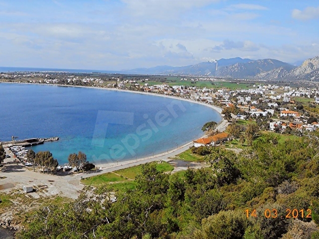 GÖKOVA KÖRFEZİ CENNETİ MİLAS ÖREN DE SATILIK ZEYTİNLİK