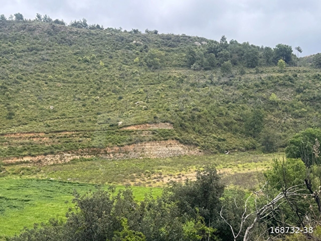 DEMİRCİLER MAH SATILIK 463 M2 TAKSİM SÖZLEŞMELİ YERİMİZ SATILIKTIR