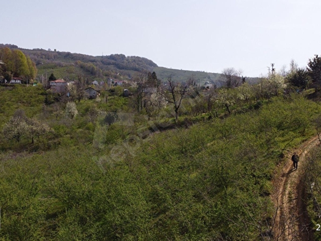 AKÇAKOCA HEMŞİN KÖYÜNDE DOĞA VE DENİZ MANZARALI ARAZİ - Görsel 9