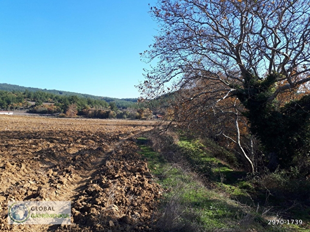 Çanakkale Gelibolu Yulice Yüksek Havalı Havadar Kelepir İmarlı Köy içi İmarlı Arsa - Görsel 6