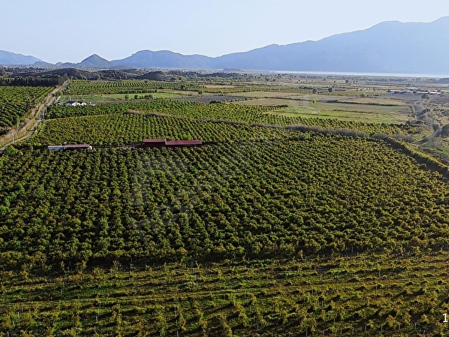Atam Emlaktan Ortaca Tepearasında Satılık 8126 M2 Tarla - Görsel 21