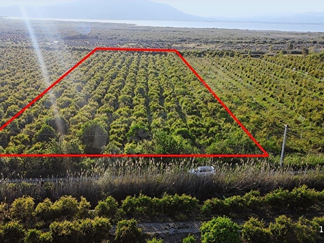 Atam Emlaktan Ortaca Tepearasında Satılık 8126 M2 Tarla - Görsel 2