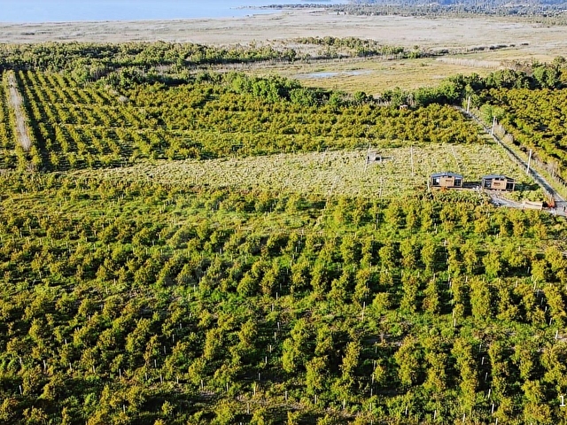 Atam Emlaktan Ortaca Tepearasında Satılık 8126 M2 Tarla - Görsel 19