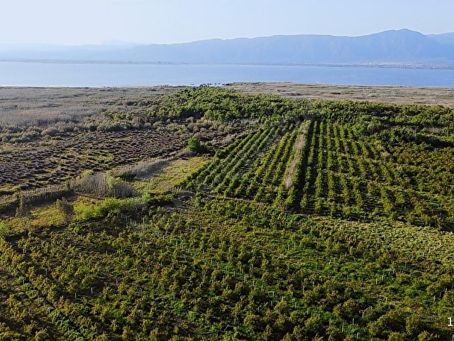 Atam Emlaktan Ortaca Tepearasında Satılık 8126 M2 Tarla - Görsel 20
