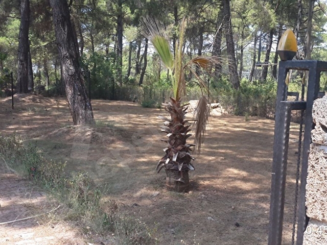 Antalya Kepez Duaci - Görsel 13