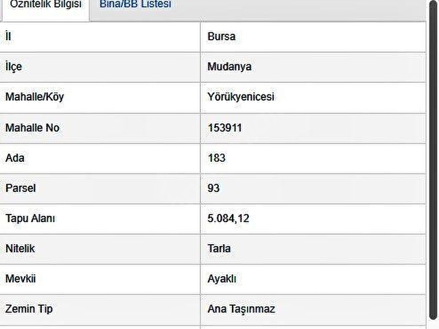 İDENOVAdan Mudanya Yörükyenicesi Ada 183 Parsel 93 Yatırımlık Tarla - Görsel 8