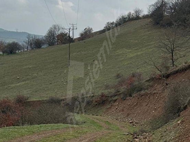 İZNİK GÖLÜ YAKINI BURSA BEYPINAR KÖYÜNDE 12DÖNÜM YOLA CEPHE YATIRIMLIK TARLA - Görsel 13