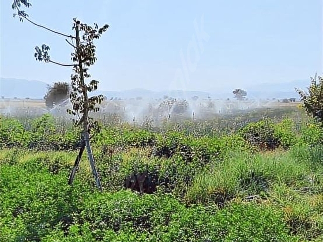 Acıpayam APAda Yola Cephe Sulu 2.976 m² Satılık Tarla
