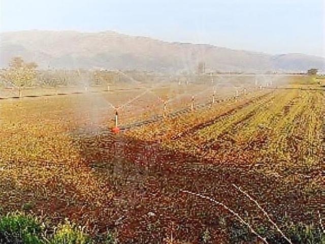 Acıpayam APAda Yola Cephe Sulu 2.976 m² Satılık Tarla - Görsel 11