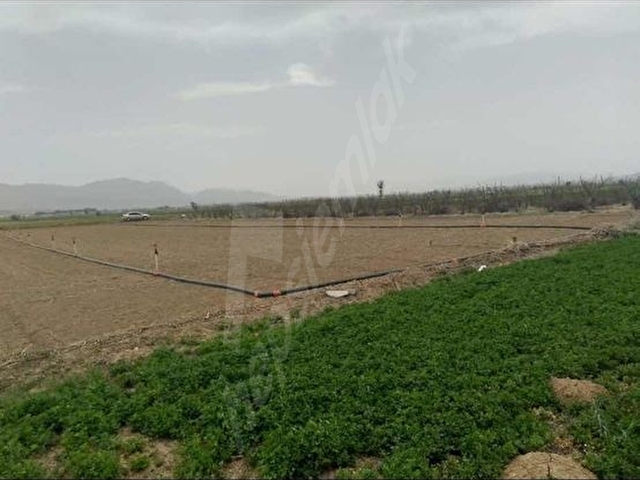 Acıpayam APAda Yola Cephe Sulu 2.976 m² Satılık Tarla - Görsel 5