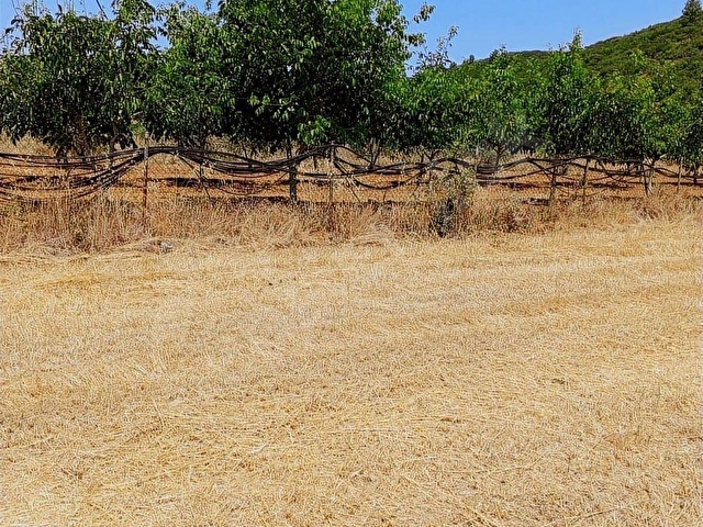 MUĞLA MENTEŞE YERKESİK MAHALLESİNDE 7300M2 SATILIK TARLA - Görsel 23