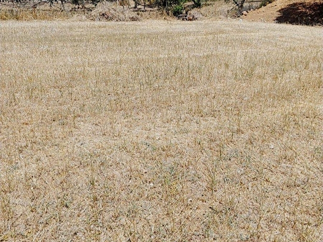 MUĞLA MENTEŞE YERKESİK MAHALLESİNDE 7300M2 SATILIK TARLA - Görsel 18