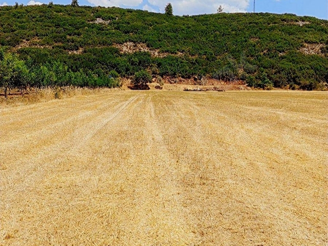 MUĞLA MENTEŞE YERKESİK MAHALLESİNDE 7300M2 SATILIK TARLA - Görsel 27