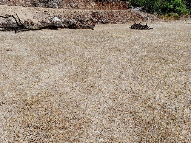 MUĞLA MENTEŞE YERKESİK MAHALLESİNDE 7300M2 SATILIK TARLA - Görsel 22