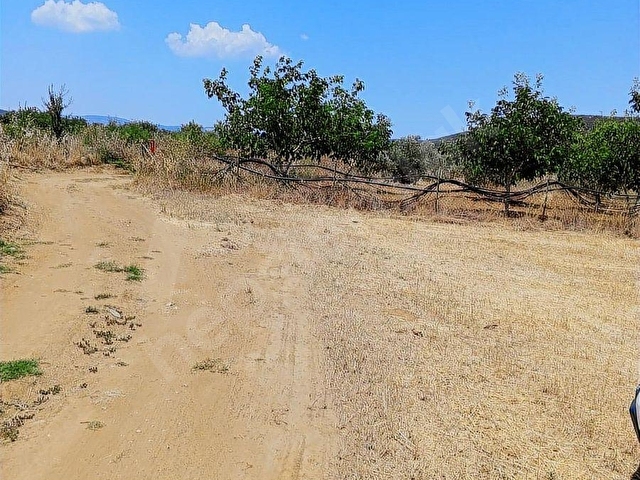 MUĞLA MENTEŞE YERKESİK MAHALLESİNDE 7300M2 SATILIK TARLA - Görsel 28