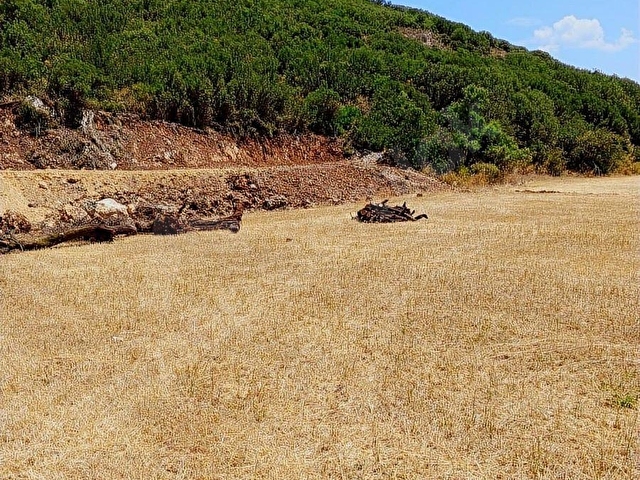 MUĞLA MENTEŞE YERKESİK MAHALLESİNDE 7300M2 SATILIK TARLA - Görsel 16