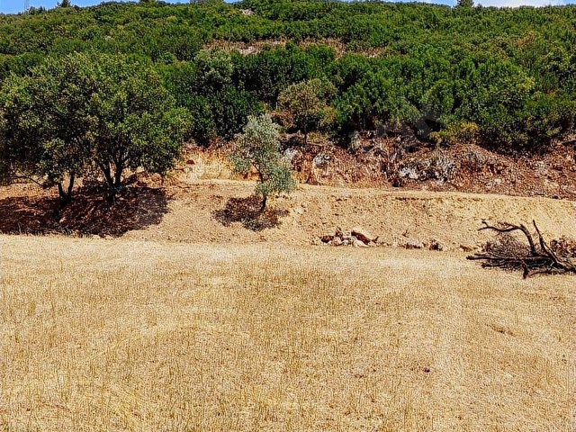 MUĞLA MENTEŞE YERKESİK MAHALLESİNDE 7300M2 SATILIK TARLA - Görsel 15