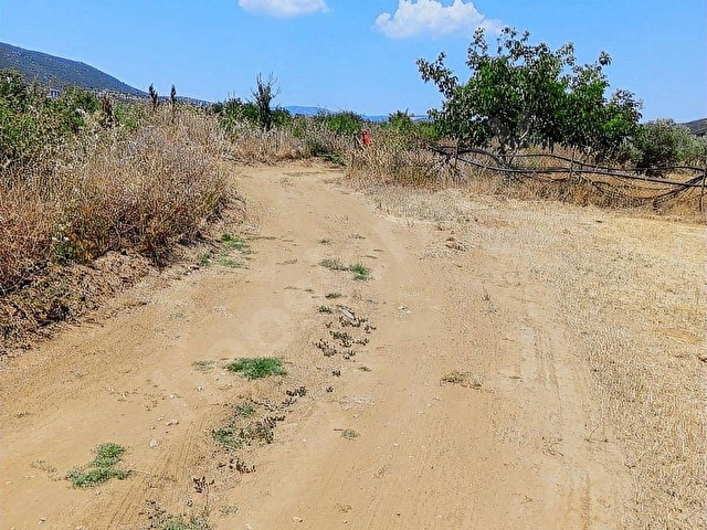 MUĞLA MENTEŞE YERKESİK MAHALLESİNDE 7300M2 SATILIK TARLA - Görsel 24