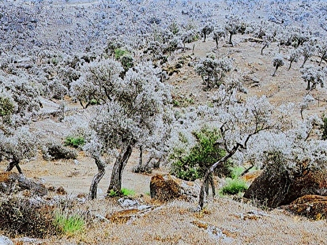 MUĞLA MİLAS ASFALTA, 30m CEPHELİ,6800M2, MUSTAKİL TAPU, SATILIK - Görsel 28