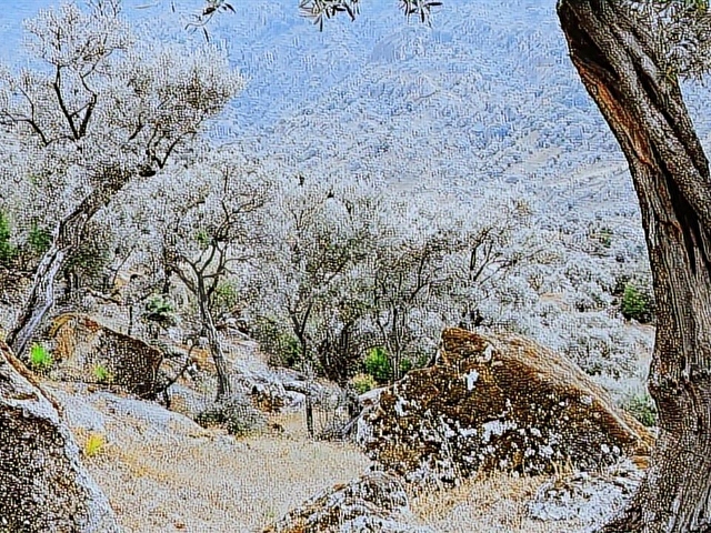 MUĞLA MİLAS ASFALTA, 30m CEPHELİ,6800M2, MUSTAKİL TAPU, SATILIK - Görsel 27
