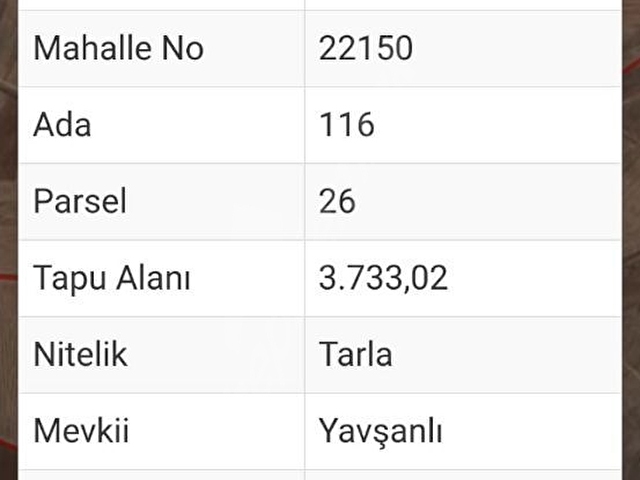 FIRSAT İKİ TARLA ZAFER ORGANİZE SANAYİ VE HAVAALANININ ORTASINDA - Görsel 15