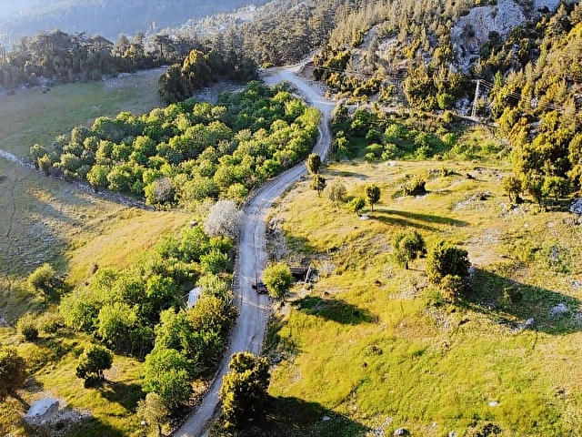LAW EMLAKTAN 6.320 M2 CEVİZ BAHÇESİ SATILIK - Görsel 2