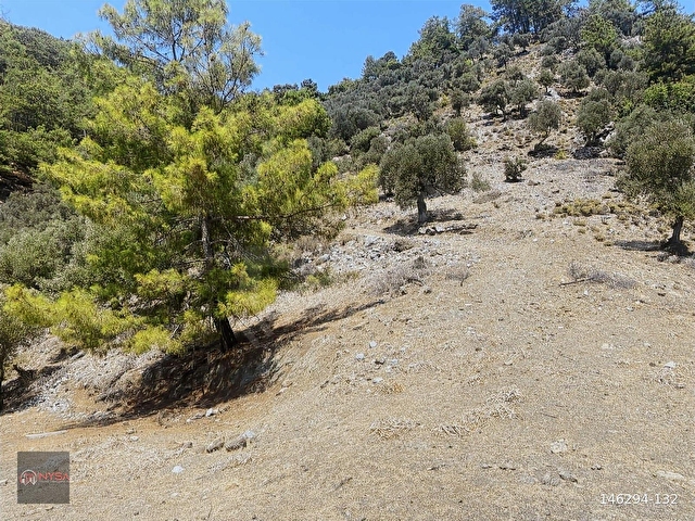 NYSA EMLAKTAN KÖYCEĞİZ ÇANDIR MH DENİZE SIFIR 2.880 M2 2B ARAZİ - Görsel 11
