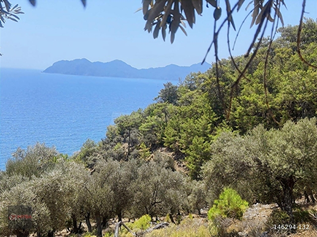 NYSA EMLAKTAN KÖYCEĞİZ ÇANDIR MH DENİZE SIFIR 2.880 M2 2B ARAZİ - Görsel 14