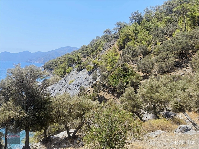 NYSA EMLAKTAN KÖYCEĞİZ ÇANDIR MH DENİZE SIFIR 2.880 M2 2B ARAZİ - Görsel 10