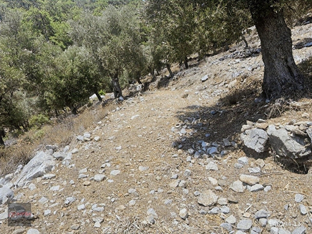 NYSA EMLAKTAN KÖYCEĞİZ ÇANDIR MH DENİZE SIFIR 2.880 M2 2B ARAZİ - Görsel 12