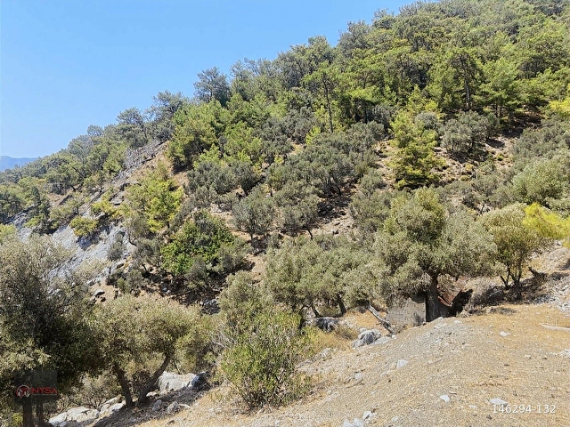 NYSA EMLAKTAN KÖYCEĞİZ ÇANDIR MH DENİZE SIFIR 2.880 M2 2B ARAZİ