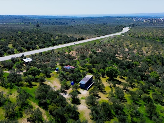 EZİNE GÖKÇEBAYIRDA ANAYOL ÜZERİNDE 490 M² ZEYTİNLİK - Görsel 15