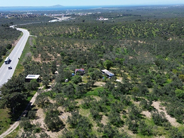 EZİNE GÖKÇEBAYIRDA ANAYOL ÜZERİNDE 490 M² ZEYTİNLİK - Görsel 12