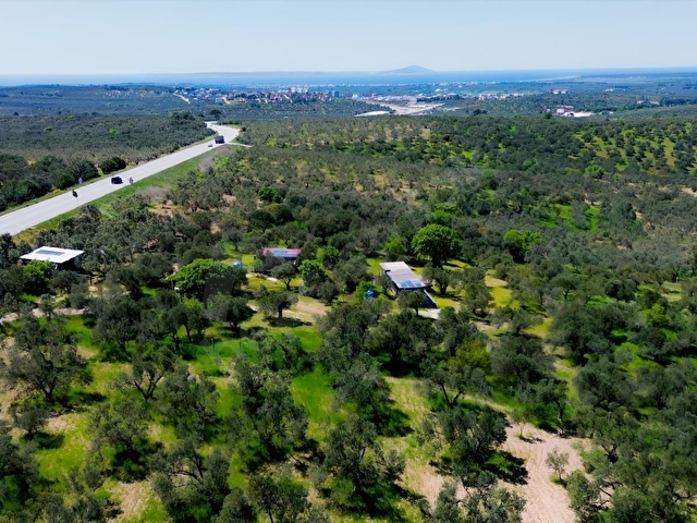 EZİNE GÖKÇEBAYIRDA ANAYOL ÜZERİNDE 490 M² ZEYTİNLİK - Görsel 8