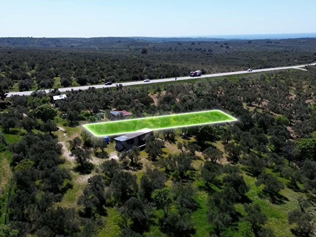 EZİNE GÖKÇEBAYIRDA ANAYOL ÜZERİNDE 490 M² ZEYTİNLİK - Görsel 7