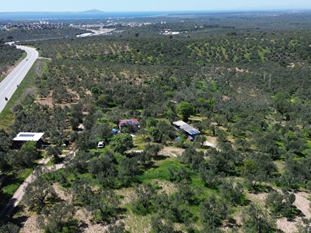 EZİNE GÖKÇEBAYIRDA ANAYOL ÜZERİNDE 490 M² ZEYTİNLİK - Görsel 4