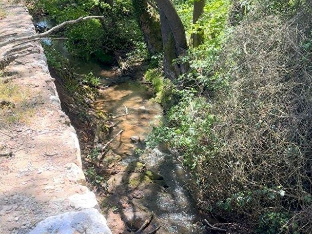 Göle ve Denize Yakın, Yol Cepheli Satılık Bahçe - Görsel 3