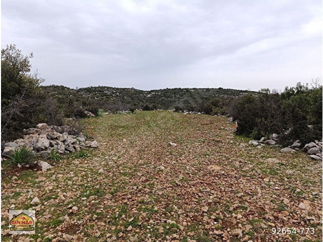 ACİL SATILIK ^ESKİYÖRÜK MAH. 4026 M2 TARLA^ - Görsel 3