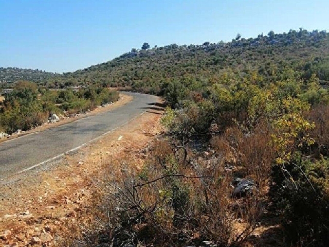 ACİL SATILIK ^ESKİYÖRÜK MAH. 4026 M2 TARLA^ - Görsel 7