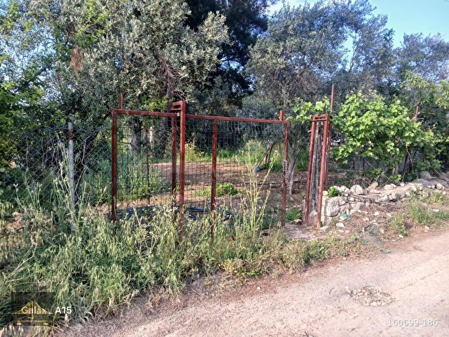 KONYAALTI DOYRANDA ELEKTRİK SU HAZIR SATILIK HOBİ BAHÇESİ - Görsel 7