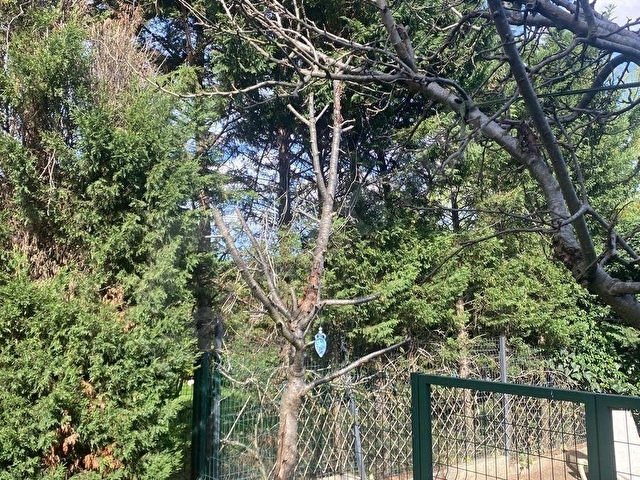 SARIYER USKUMRUKÖY ARIKÖY SİTESİNDE 7+1 SATILIK TEMİZ VİLLA - Görsel 10