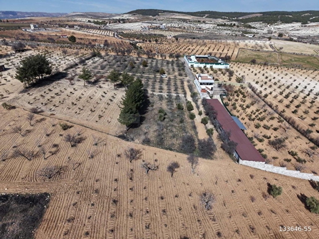 BURÇ ESENTEPE FIRSAT YÜKSEK KONUMDA İMAR SINIRINDA 2065 m²