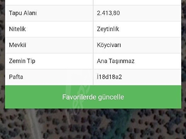 Sahibinden Havran Kalabak da Eko Turizm Bölgesinde Asfalt Yol Cepheli Yatırımlık Zeytinlik - Görsel 21
