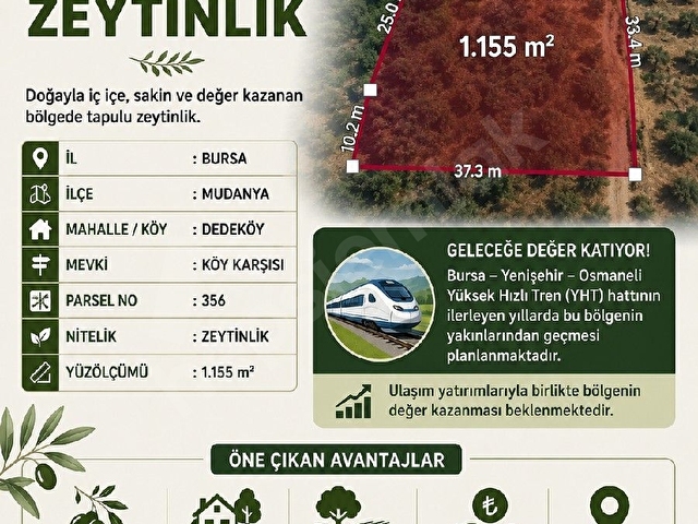 Şehre Yakın Arazi