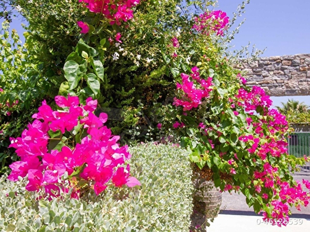 Girne Alsancak Sahibinden Satılık